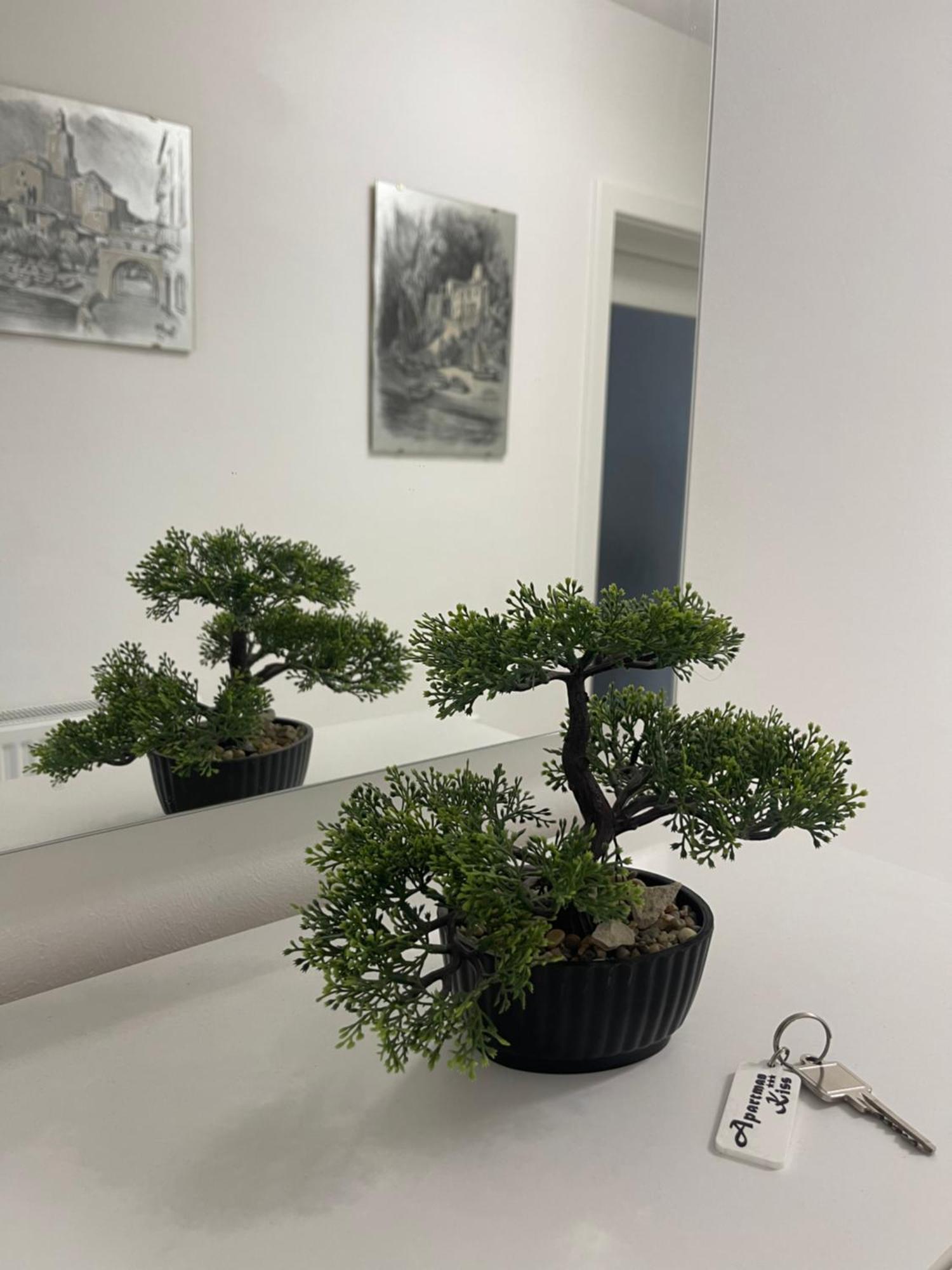 Apartman Kis 亚伊采 外观 照片